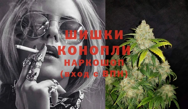 мяу мяу мука Иннополис