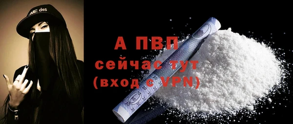 хмурый Инсар