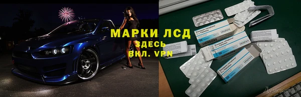 мяу мяу мука Иннополис
