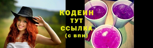 мяу мяу мука Иннополис