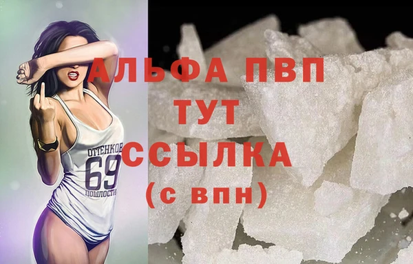 хмурый Инсар