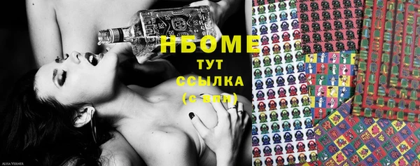 хмурый Инсар