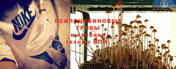 мяу мяу мука Иннополис