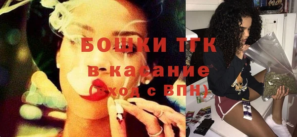 хмурый Инсар