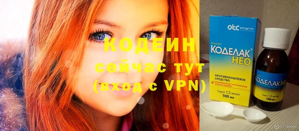 мяу мяу мука Иннополис