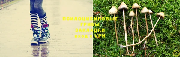 круглые Инта