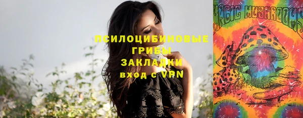 мяу мяу мука Иннополис