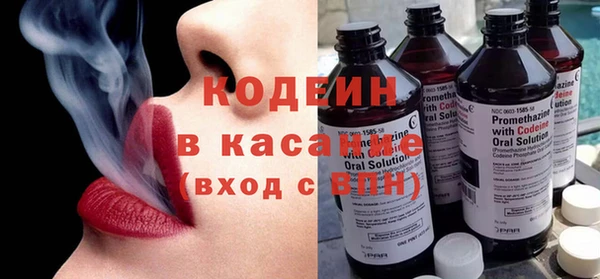 мяу мяу мука Иннополис