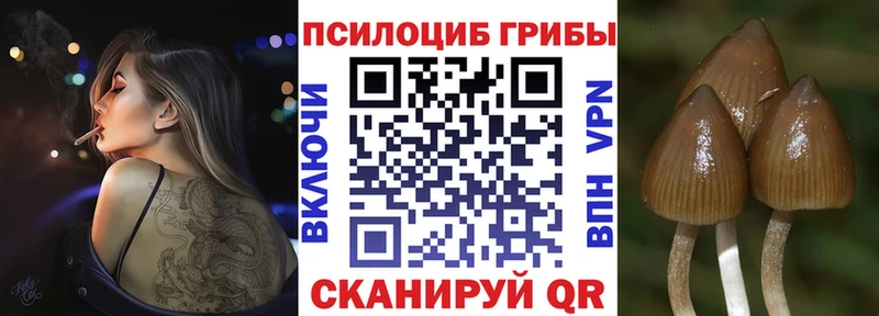 Галлюциногенные грибы MAGIC MUSHROOMS  Купить где  Горячий Ключ 